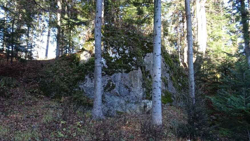 Wapienne skałki przy szlaku na Przełęcz Szopkę