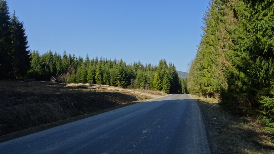 Droga prowadząca od Przełęczy Glinne na Słowację