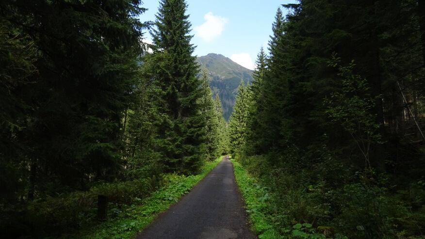 Droga prowadząca przez Cichą Dolinę