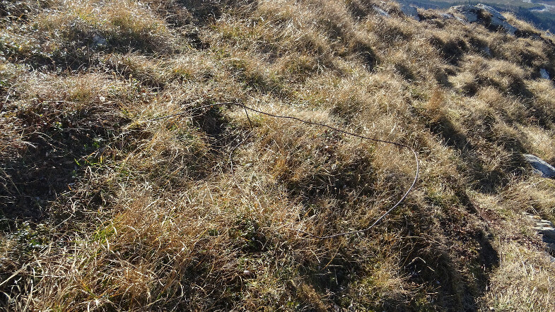Drut w trawie