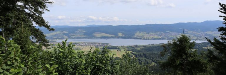 Żar