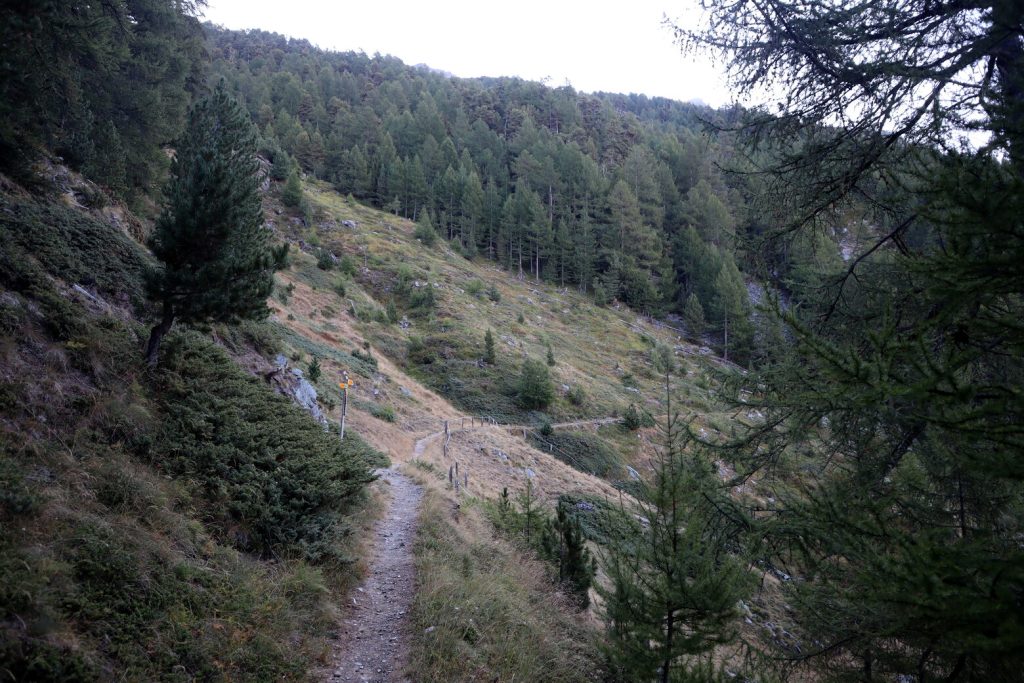 Nasz szlak skręca pod górę